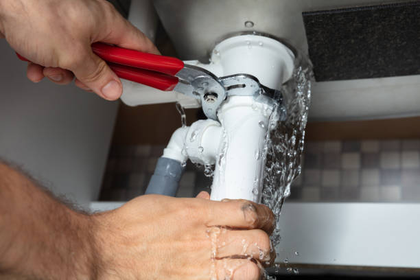 Best Fire Damage Restoration  in Hector, MN