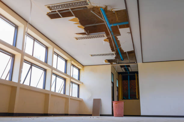 Best Sewage cleanup and water damage restoration  in Hector, MN