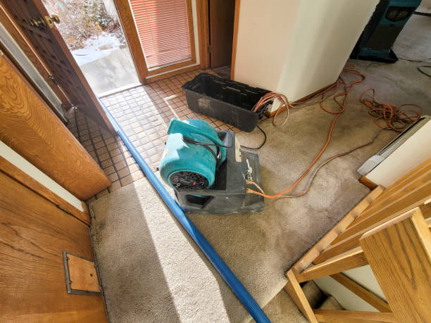 Best Sewage cleanup and water damage restoration  in Hector, MN