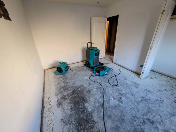 Best 24/7 water damage repair  in Hector, MN
