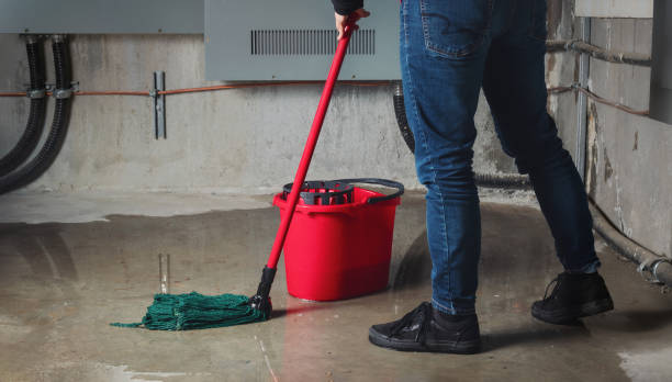 Best Ceiling water damage repair  in Hector, MN