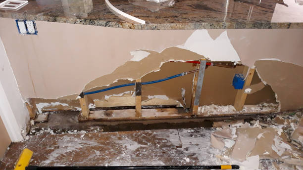Best Flood damage cleanup  in Hector, MN