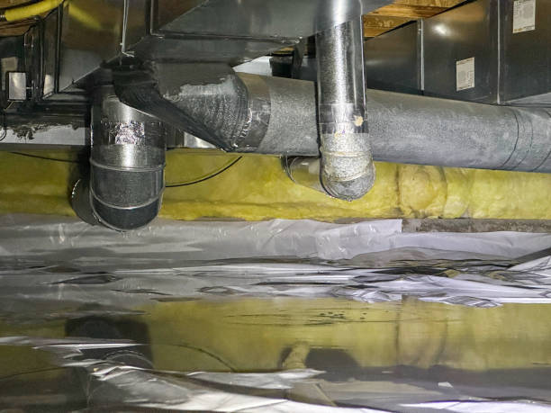 Sewage cleanup and water damage restoration in Hector, MN